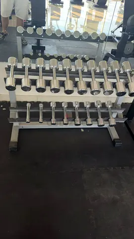 Technogym chrome dumbbells set with Rack