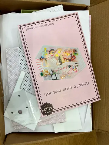Anna’s pink melody DIY build mini house