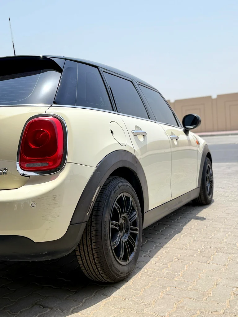 MINI COOPER 201863398524102273113
