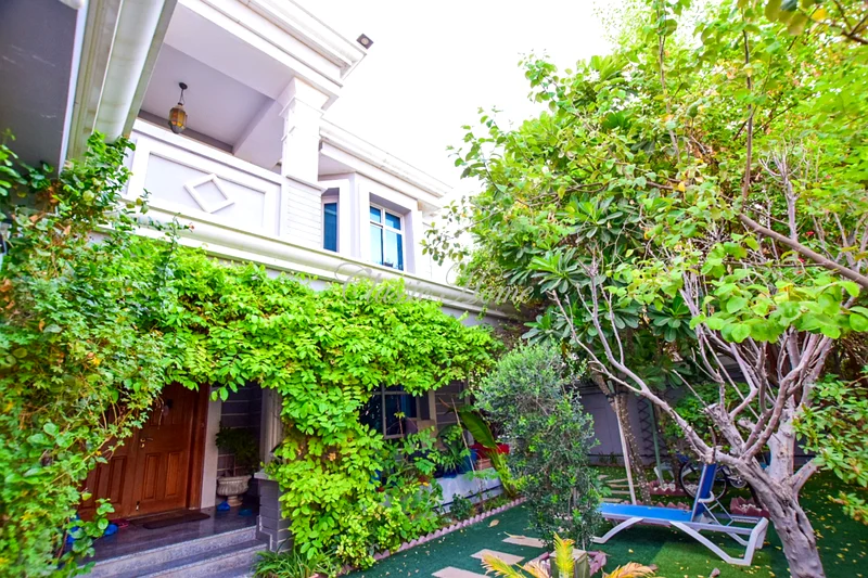 Privet Pool  | Semi-Detached New World Style63920141294466114