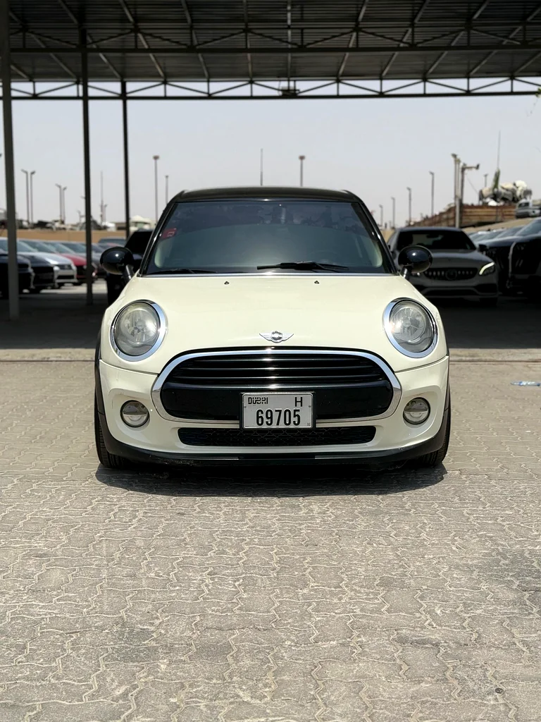 MINI COOPER 201863398524102273111