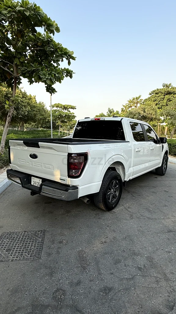 Ford F-150 202263399881275523114