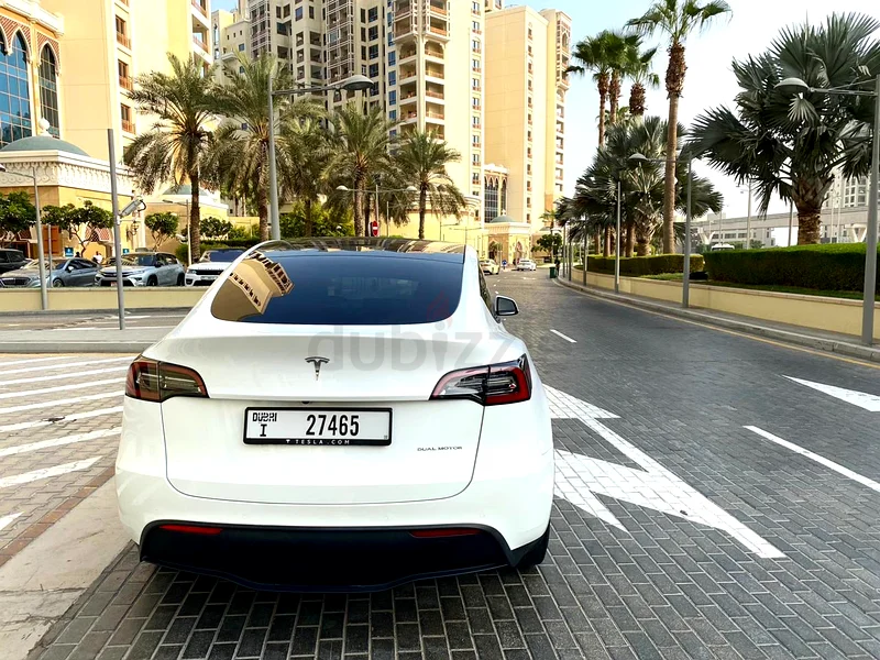 Tesla / Model Y / Long Range63398506552067112