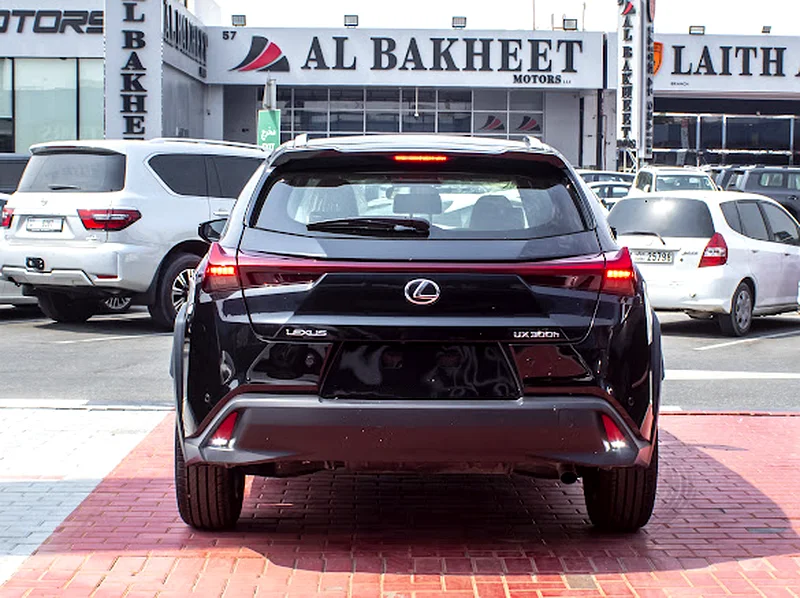 Lexus UX300 hybrid63398634341633114
