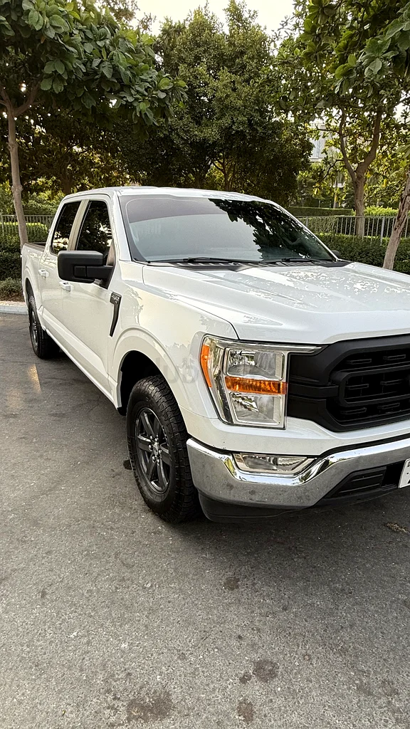 Ford F-150 202263399881275523111