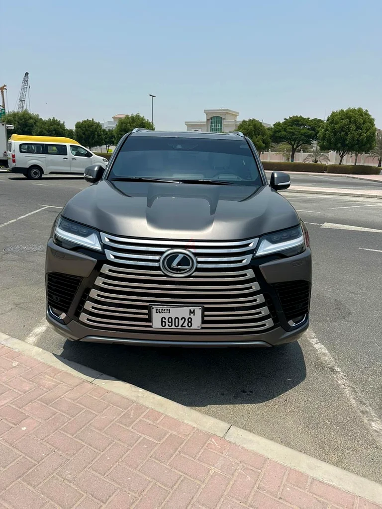 Lx60063398635254018110