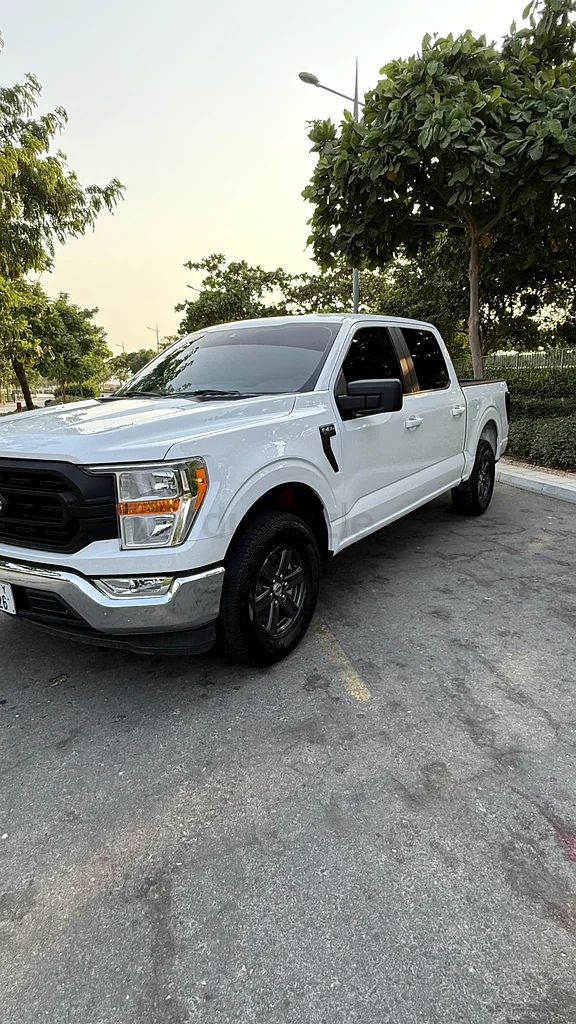 Ford F-150 202263399881275523110