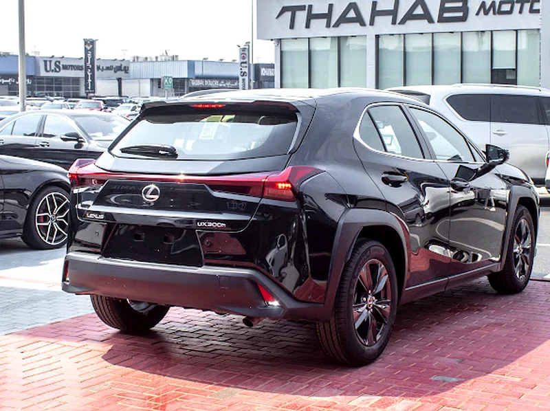 Lexus UX300 hybrid63398634341633113