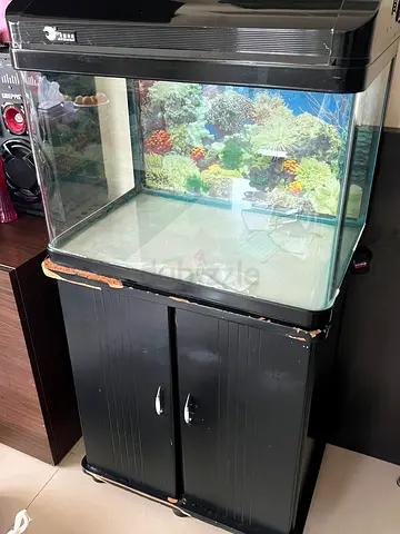 Aquarium for fish