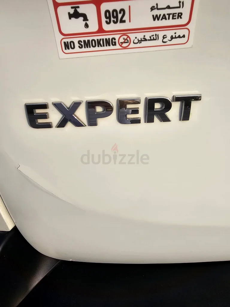 Peugeot Expert Passenger 201863398486637571113