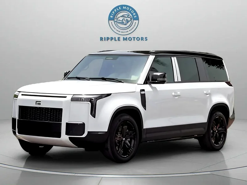 ROX 01 2025-VIP 6-seat Long-Range Edition (EXPORT ONLY)63398479081218111
