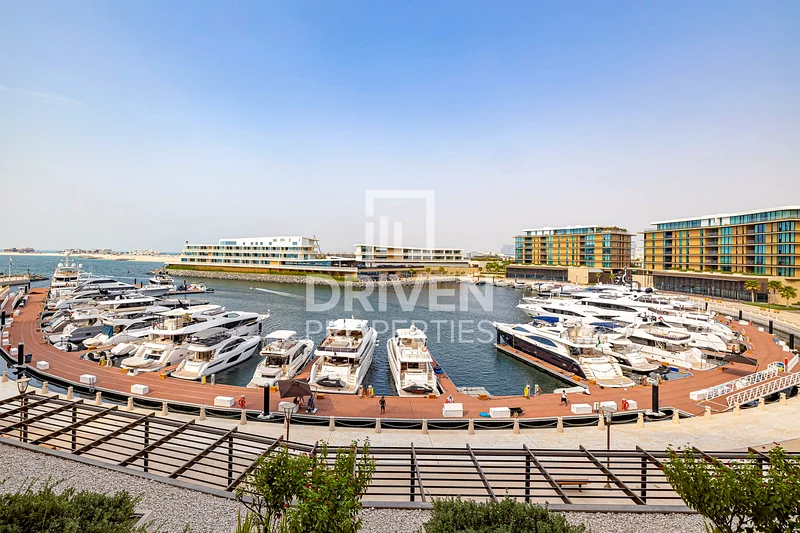 Fully Upgraded and Furnished | Luxurious Apt63929454263042114