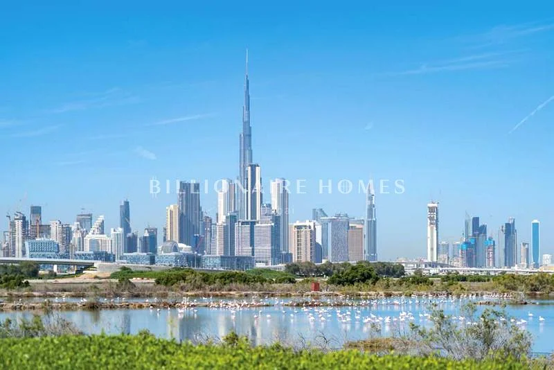 Below OP | Investor Deal | Lagoon View63954978972675112
