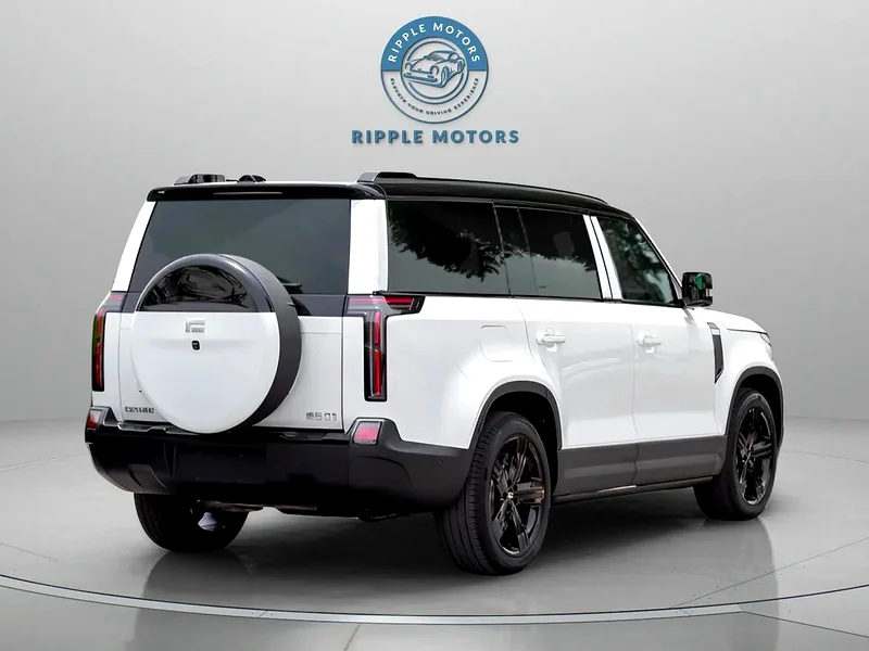 ROX 01 2025-VIP 6-seat Long-Range Edition (EXPORT ONLY)63398479081218113