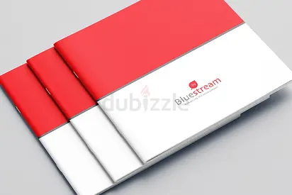 Freelance Graphic and Web Designer