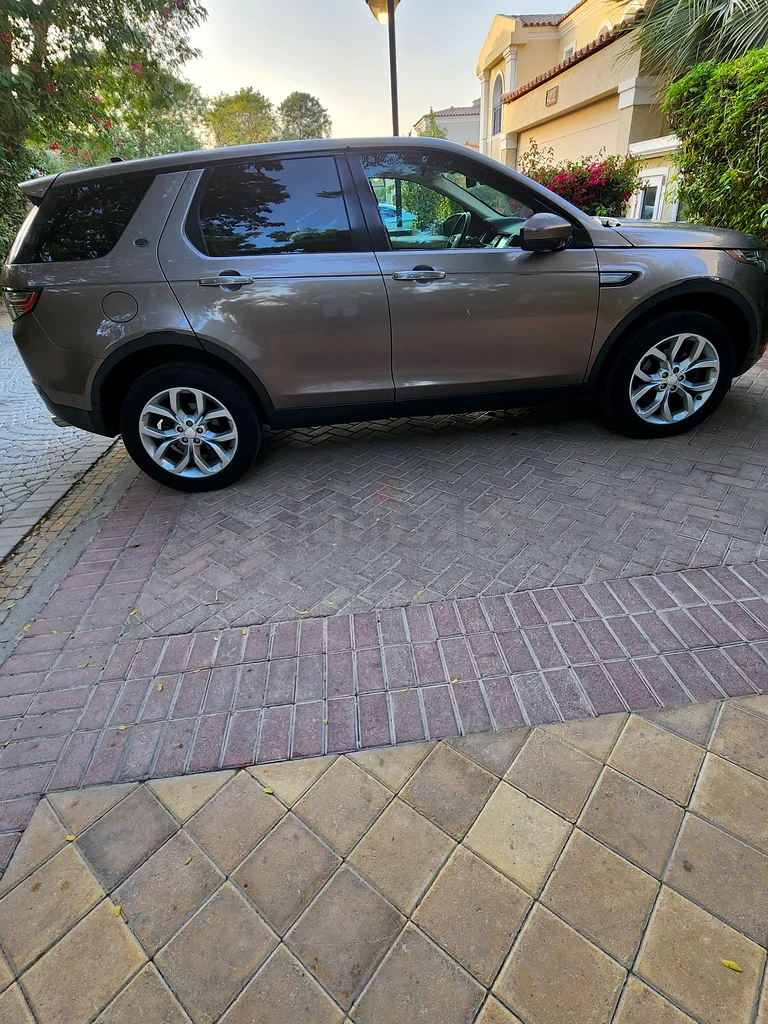 سيدة واحدة المالكة لا حادث63406537864195114
