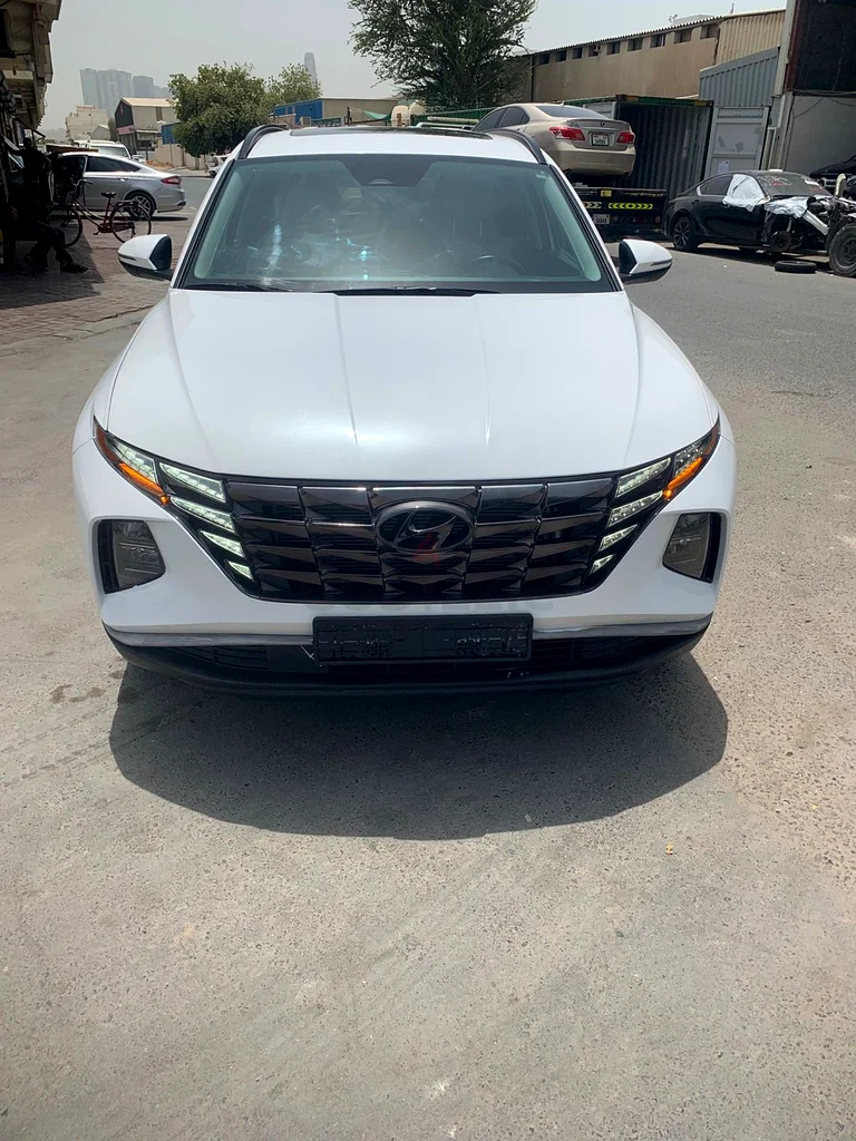 Hyandai Tuscon SEL63406907083523113