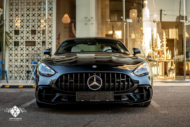 2025 Mercedes-Benz AMG GT4363399924503169111