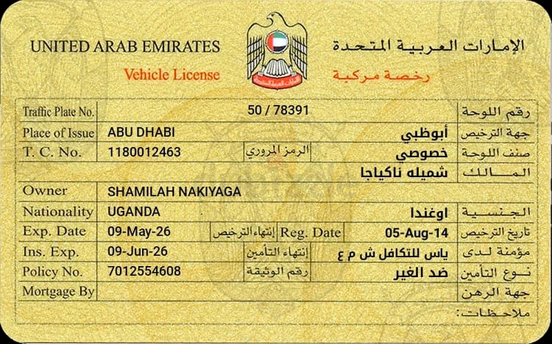 Buy and drive633999729969931127