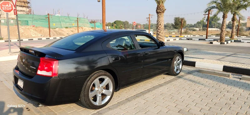 الذيد - الشارقة63398535269121111
