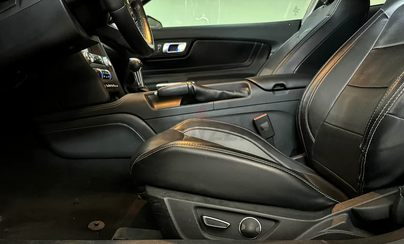 Mustang Ecoboost 201963399885581955114