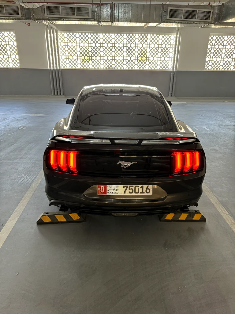 Mustang Ecoboost 201963399885581955111