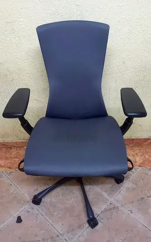Herman Miller Embody Ergonomic Office Chair | Fully Adjustable Arms and Carpet Casters |