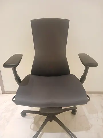 Herman Miller Embody Ergonomic Office Chair | Fully Adjustable Arms and Carpet Casters