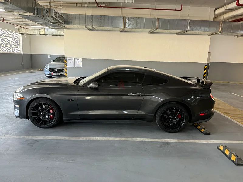 Mustang Ecoboost 201963399885581955112