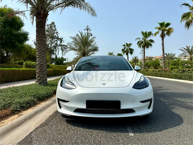 TESLA MODEL 3 /LONG RANGE / GCC63398506587267111