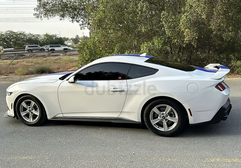 Mustang 202463399885666947112