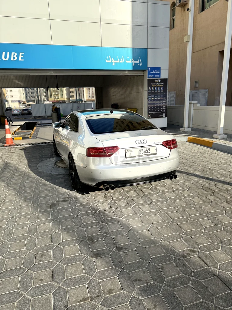 Dubai63398609922818114