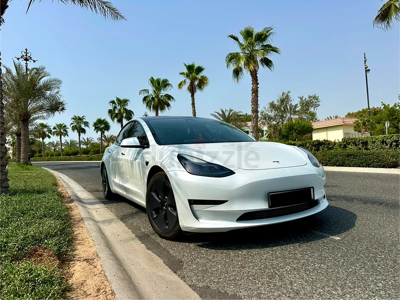 TESLA MODEL 3 /LONG RANGE / GCC633985065872671121