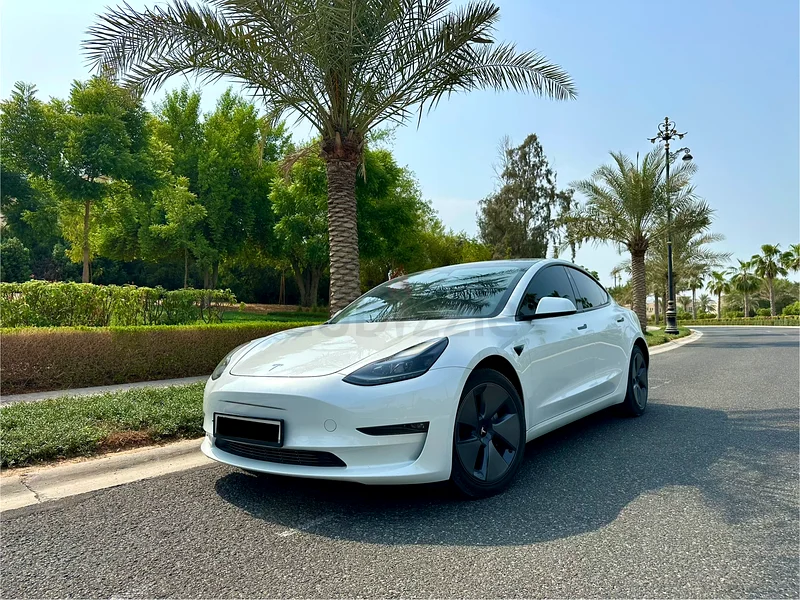 TESLA MODEL 3 /LONG RANGE / GCC63398506587267112