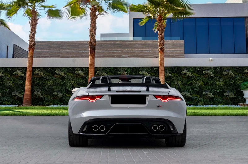 Nardo Grey | Fully Loaded | Future Classic63398482035587114