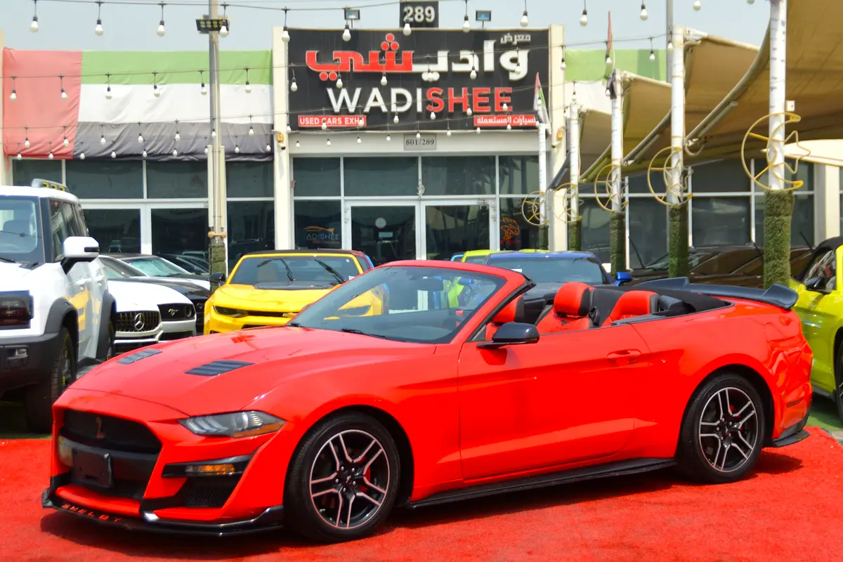 Ford Mustang 2019 — photo 1 of 18