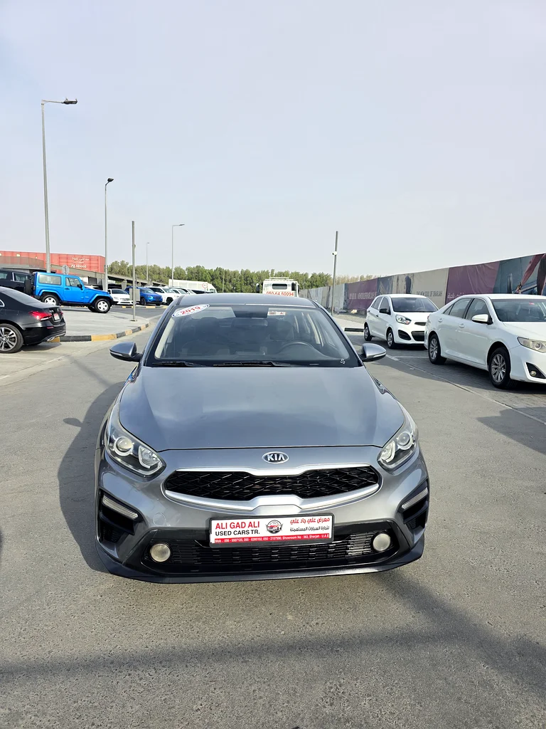 Kia Cerato 201963398619800067117