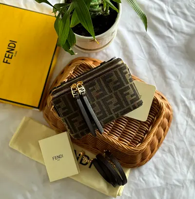 Fendi women vanity fabric brown handbag