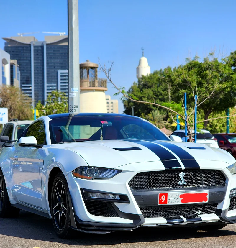 Ford Mustang Ecoboost 201863399883710082111