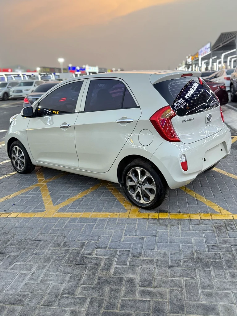 كوري طازج مستورد63406919521411113