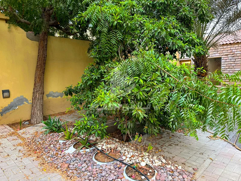 VILLA FOR SALE \ RAK \Ghalila mountain view63855678770177112