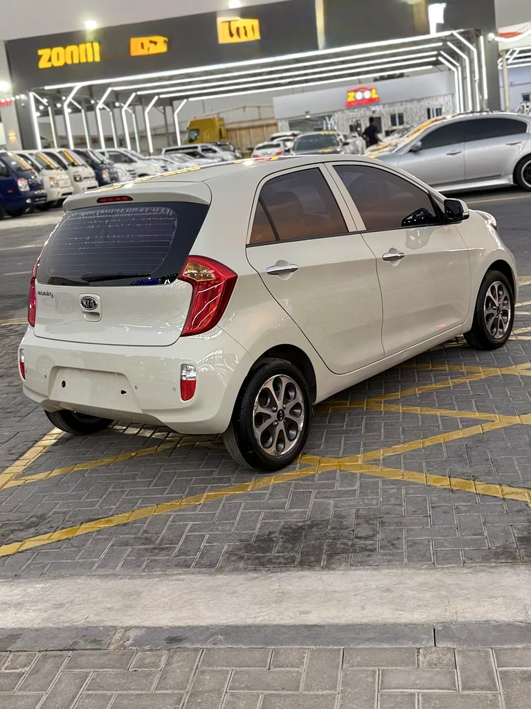 كوري طازج مستورد63406919521411111
