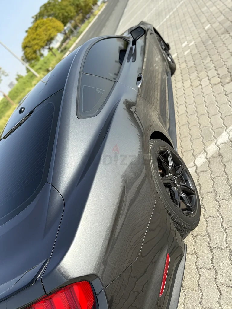 إيكو بуст مع طقم جسم شيلبي - 2019 بحالة ممتازة63399885597953111