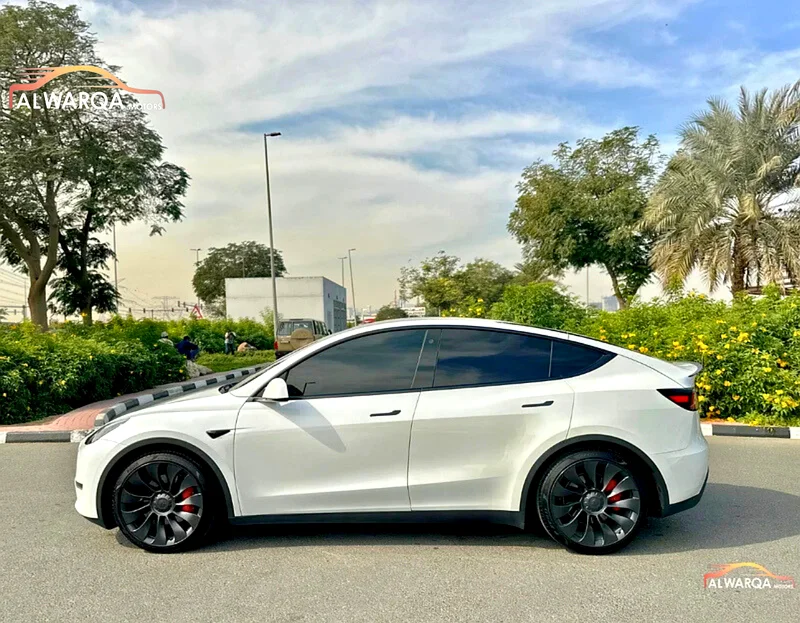 تسلا موديل واي بيرفورمانس 2023 منطقة الخليج63398505518723113