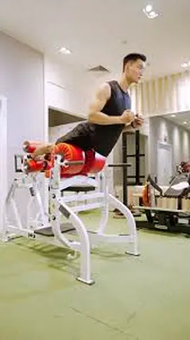 Glute Arm Hammer Strength