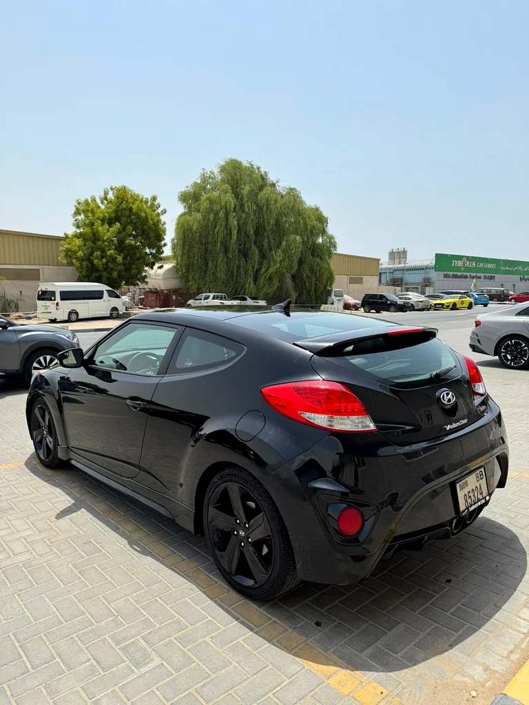veloster63406906297217112