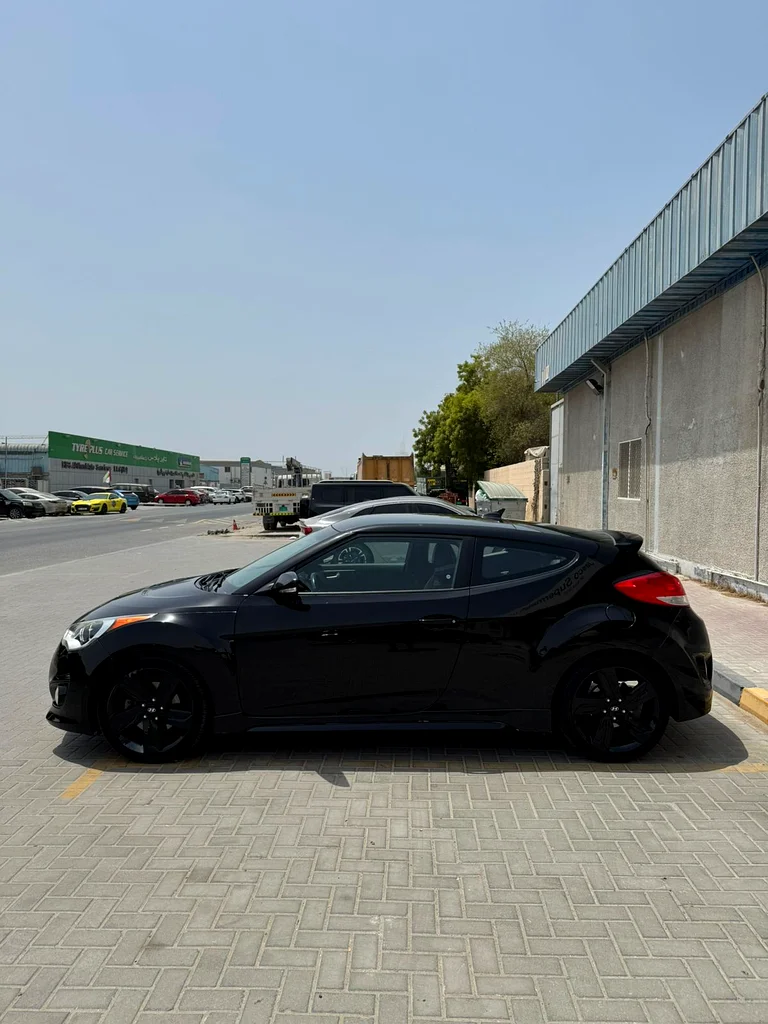veloster63406906297217113