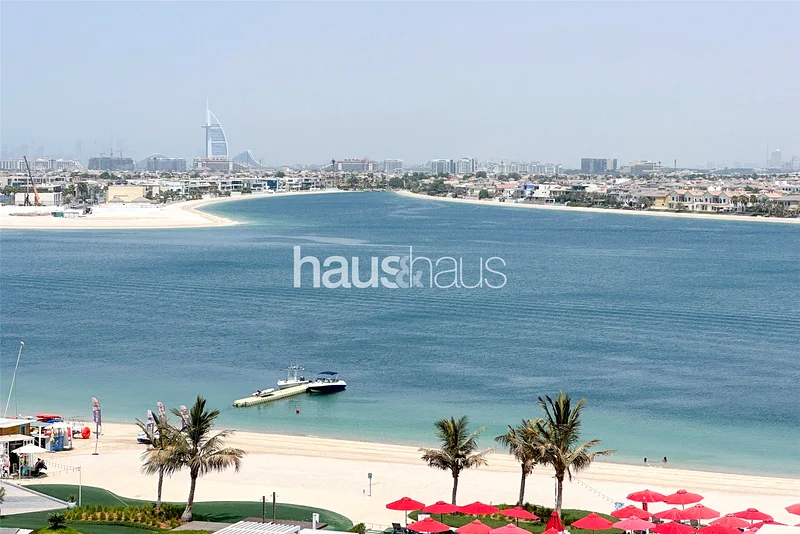 الكامل مواجه للنخيل | مُحدّث بالكامل | شاغر64010234955523113