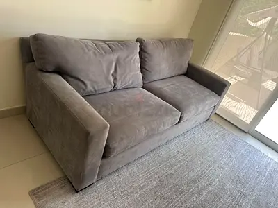 Crate Barrel Axis feather filled Two Seater sofa bed