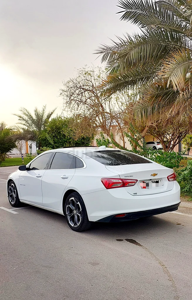 ابوظبي الشامخه63398561115009114